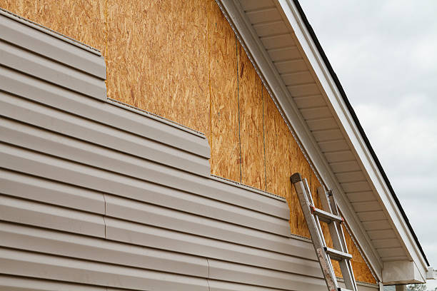 Professional Siding Repair technician working in Princeton, WV